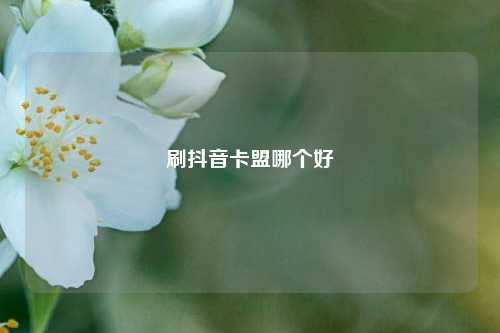 刷抖音卡盟哪个好  第1张