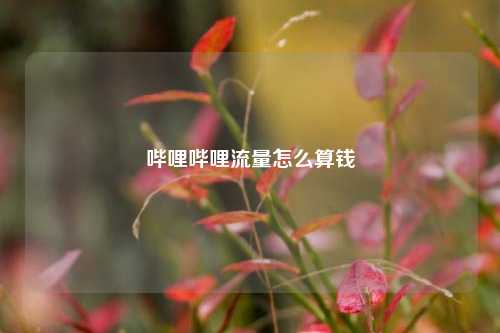 哔哩哔哩流量怎么算钱 第1张 哔哩哔哩流量怎么算钱 第1张