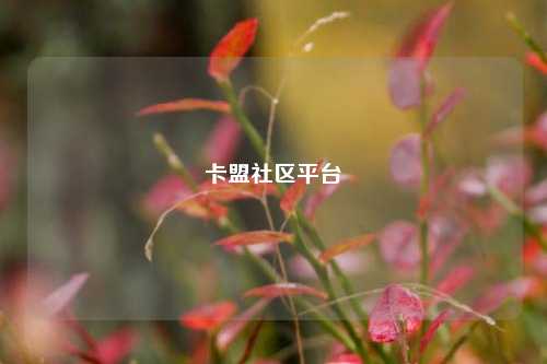 卡盟社区平台  第1张