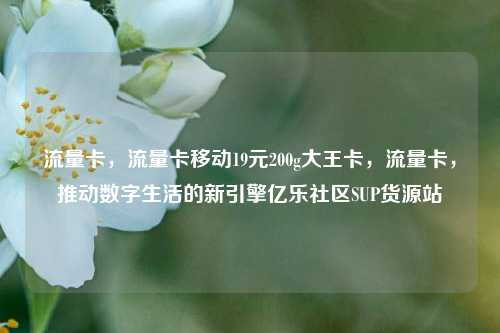 流量卡，流量卡移动19元200g大王卡	，流量卡，推动数字生活的新引擎亿乐社区SUP货源站  第1张