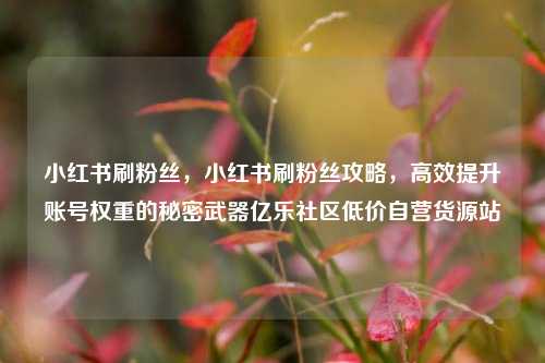 小红书刷粉丝，小红书刷粉丝攻略	，高效提升账号权重的秘密武器亿乐社区低价自营货源站  第1张