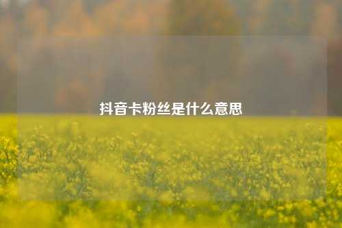 抖音卡粉丝是什么意思  第1张
