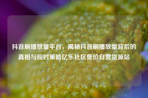 抖音刷播放量平台	，揭秘抖音刷播放量背后的真相与应对策略亿乐社区低价自营货源站  第1张
