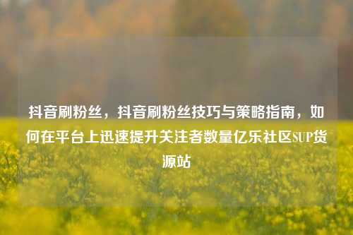 抖音刷粉丝	，抖音刷粉丝技巧与策略指南，如何在平台上迅速提升关注者数量亿乐社区SUP货源站  第1张
