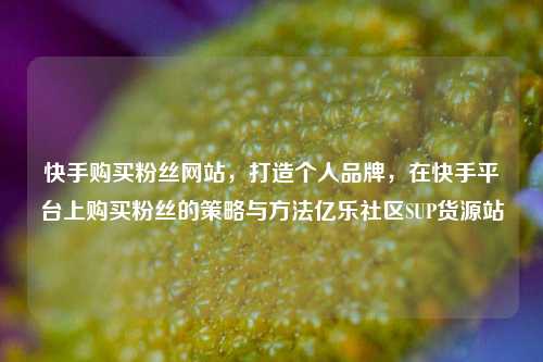 快手购买粉丝网站，打造个人品牌，在快手平台上购买粉丝的策略与方法亿乐社区SUP货源站  第1张