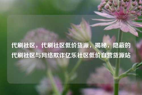 代刷社区，代刷社区低价货源，揭秘，隐蔽的代刷社区与网络欺诈亿乐社区低价自营货源站  第1张