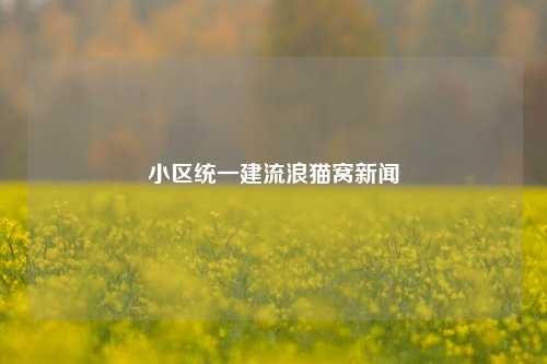 小区统一建流浪猫窝新闻  第1张