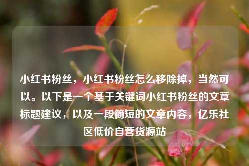 小红书粉丝	，小红书粉丝怎么移除掉，当然可以。以下是一个基于关键词小红书粉丝的文章标题建议，以及一段简短的文章内容	，亿乐社区低价自营货源站  第1张