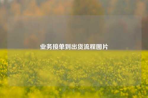 业务接单到出货流程图片  第1张