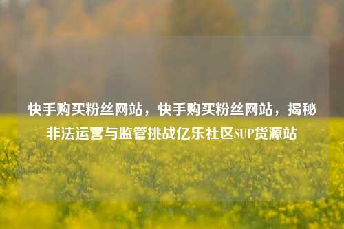 快手购买粉丝网站	，快手购买粉丝网站，揭秘非法运营与监管挑战亿乐社区SUP货源站  第1张