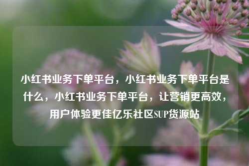 小红书业务下单平台，小红书业务下单平台是什么	，小红书业务下单平台，让营销更高效，用户体验更佳亿乐社区SUP货源站  第1张