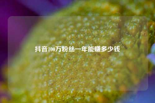 抖音100万粉丝一年能赚多少钱  第1张