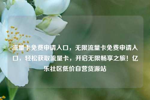 流量卡免费申请入口，无限流量卡免费申请入口	，轻松获取流量卡，开启无限畅享之旅！亿乐社区低价自营货源站  第1张