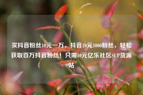 买抖音粉丝10元一万	，抖音10元1000粉丝，轻松获取百万抖音粉丝！只需10元亿乐社区SUP货源站  第1张