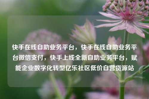 快手在线自助业务平台	，快手在线自助业务平台微信支付，快手上线全新自助业务平台，赋能企业数字化转型亿乐社区低价自营货源站  第1张