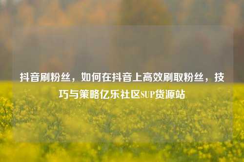 抖音刷粉丝，如何在抖音上高效刷取粉丝	，技巧与策略亿乐社区SUP货源站  第1张
