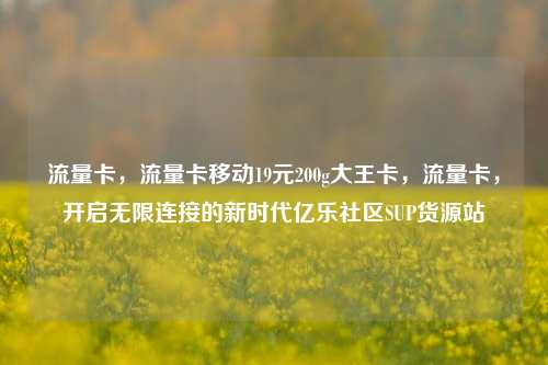 流量卡，流量卡移动19元200g大王卡，流量卡	，开启无限连接的新时代亿乐社区SUP货源站  第1张