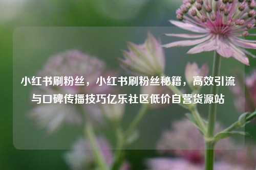 小红书刷粉丝，小红书刷粉丝秘籍，高效引流与口碑传播技巧亿乐社区低价自营货源站  第1张