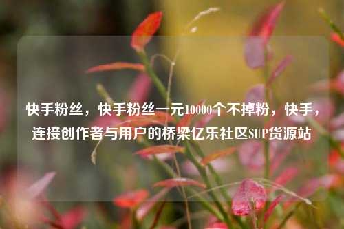 快手粉丝，快手粉丝一元10000个不掉粉，快手，连接创作者与用户的桥梁亿乐社区SUP货源站  第1张
