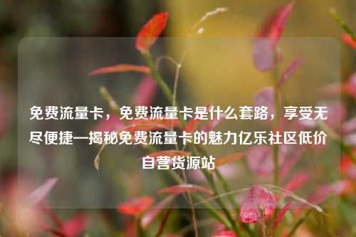 免费流量卡，免费流量卡是什么套路	，享受无尽便捷—揭秘免费流量卡的魅力亿乐社区低价自营货源站  第1张