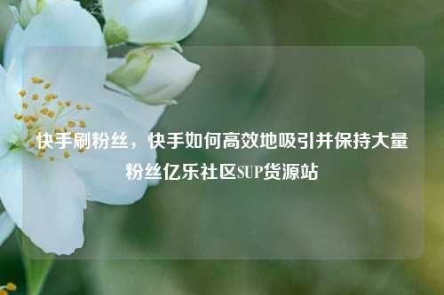 快手刷粉丝，快手如何高效地吸引并保持大量粉丝亿乐社区SUP货源站  第1张