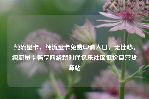 纯流量卡，纯流量卡免费申请入口，无挂心，纯流量卡畅享网络新时代亿乐社区低价自营货源站  第1张