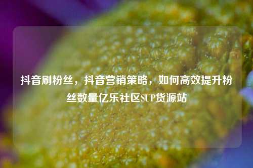 抖音刷粉丝，抖音营销策略，如何高效提升粉丝数量亿乐社区SUP货源站  第1张