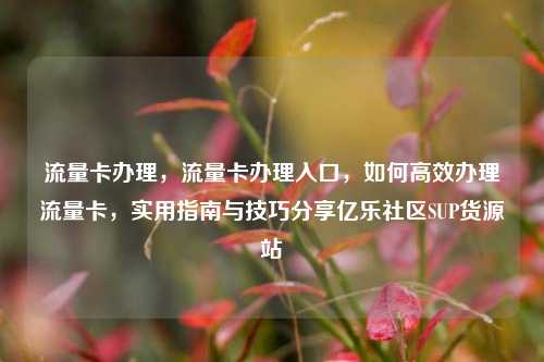 流量卡办理，流量卡办理入口，如何高效办理流量卡，实用指南与技巧分享亿乐社区SUP货源站  第1张