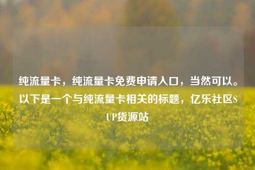 纯流量卡，纯流量卡免费申请入口，当然可以。以下是一个与纯流量卡相关的标题，亿乐社区SUP货源站  第1张