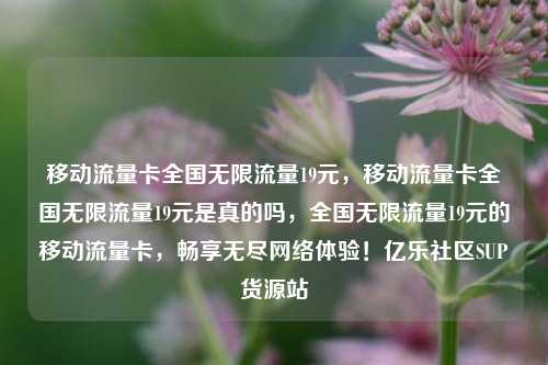 移动流量卡全国无限流量19元，移动流量卡全国无限流量19元是真的吗，全国无限流量19元的移动流量卡，畅享无尽网络体验！亿乐社区SUP货源站  第1张