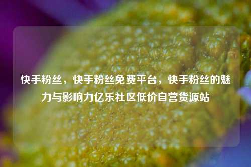快手粉丝	，快手粉丝免费平台，快手粉丝的魅力与影响力亿乐社区低价自营货源站  第1张