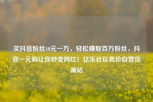 买抖音粉丝10元一万，轻松赚取百万粉丝，抖音一元购让你秒变网红！亿乐社区低价自营货源站  第1张