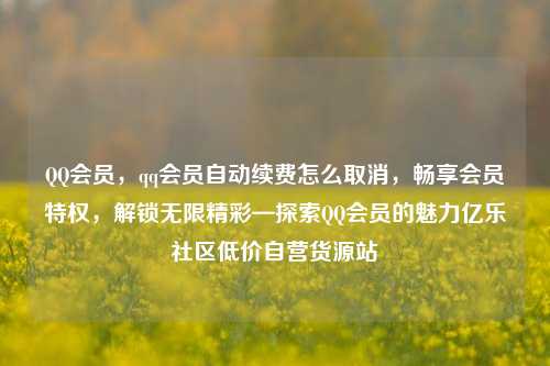 QQ会员	，qq会员自动续费怎么取消，畅享会员特权，解锁无限精彩—探索QQ会员的魅力亿乐社区低价自营货源站  第1张