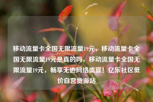 移动流量卡全国无限流量19元，移动流量卡全国无限流量19元是真的吗，移动流量卡全国无限流量19元，畅享无边网络盛宴！亿乐社区低价自营货源站  第1张