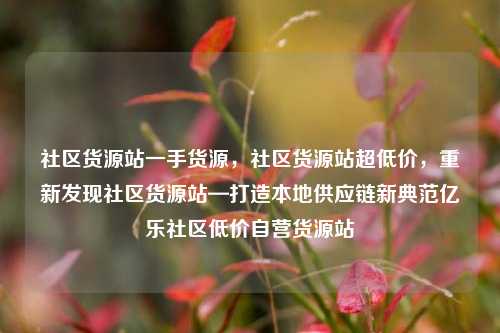 社区货源站一手货源，社区货源站超低价，重新发现社区货源站—打造本地供应链新典范亿乐社区低价自营货源站  第1张