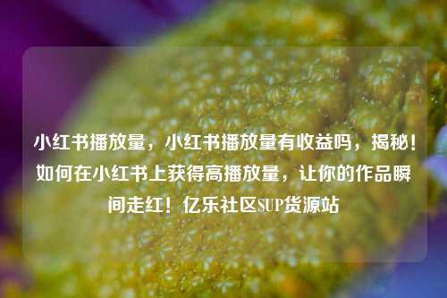 小红书播放量，小红书播放量有收益吗，揭秘！如何在小红书上获得高播放量，让你的作品瞬间走红！亿乐社区SUP货源站  第1张