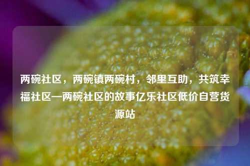 两碗社区	，两碗镇两碗村，邻里互助，共筑幸福社区—两碗社区的故事亿乐社区低价自营货源站  第1张
