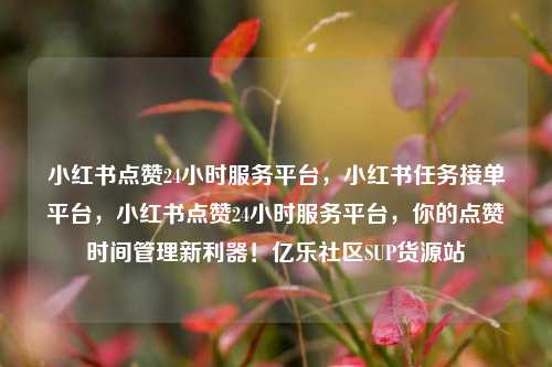 小红书点赞24小时服务平台，小红书任务接单平台，小红书点赞24小时服务平台，你的点赞时间管理新利器！亿乐社区SUP货源站  第1张
