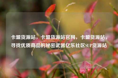 卡盟货源站，卡盟货源站官网	，卡盟货源站，寻找优质商品的秘密武器亿乐社区SUP货源站  第1张