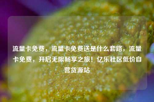 流量卡免费，流量卡免费送是什么套路，流量卡免费	，开启无限畅享之旅！亿乐社区低价自营货源站  第1张
