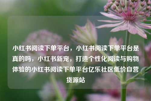 小红书阅读下单平台，小红书阅读下单平台是真的吗，小红书新宠，打造个性化阅读与购物体验的小红书阅读下单平台亿乐社区低价自营货源站  第1张