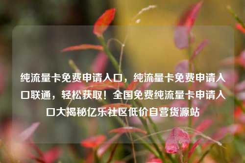 纯流量卡免费申请入口，纯流量卡免费申请入口联通	，轻松获取！全国免费纯流量卡申请入口大揭秘亿乐社区低价自营货源站  第1张