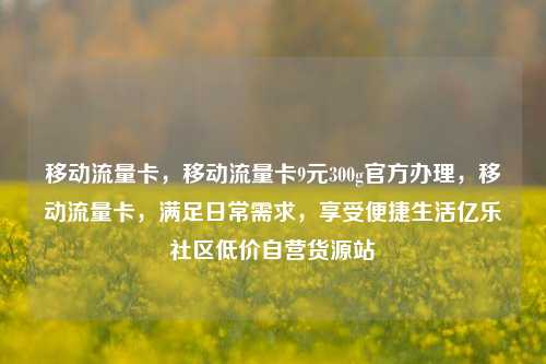 移动流量卡，移动流量卡9元300g官方办理	，移动流量卡，满足日常需求，享受便捷生活亿乐社区低价自营货源站  第1张