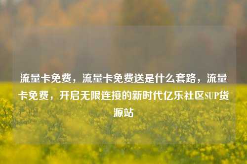 流量卡免费	，流量卡免费送是什么套路，流量卡免费，开启无限连接的新时代亿乐社区SUP货源站  第1张