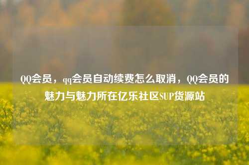QQ会员	，qq会员自动续费怎么取消，QQ会员的魅力与魅力所在亿乐社区SUP货源站  第1张