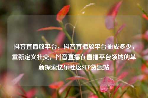 抖音直播放平台，抖音直播放平台抽成多少	，重新定义社交，抖音直播在直播平台领域的革新探索亿乐社区SUP货源站  第1张