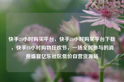 快手24小时购买平台	，快手24小时购买平台下载，快手24小时购物狂欢节，一场全民参与的消费盛宴亿乐社区低价自营货源站  第1张