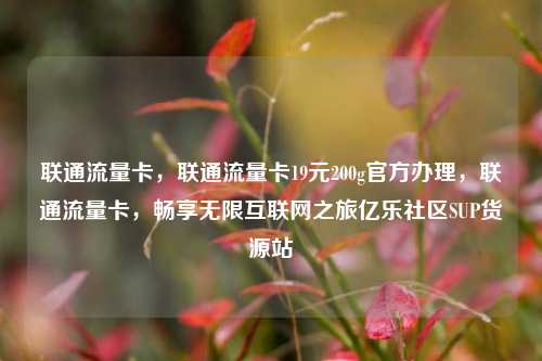 联通流量卡，联通流量卡19元200g官方办理，联通流量卡	，畅享无限互联网之旅亿乐社区SUP货源站  第1张