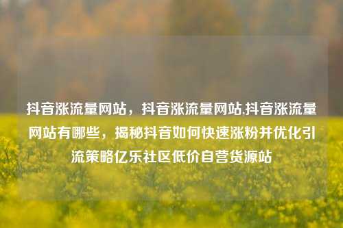 抖音涨流量网站，抖音涨流量网站,抖音涨流量网站有哪些	，揭秘抖音如何快速涨粉并优化引流策略亿乐社区低价自营货源站  第1张