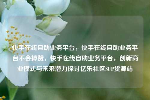 快手在线自助业务平台，快手在线自助业务平台不会掉赞	，快手在线自助业务平台，创新商业模式与未来潜力探讨亿乐社区SUP货源站  第1张